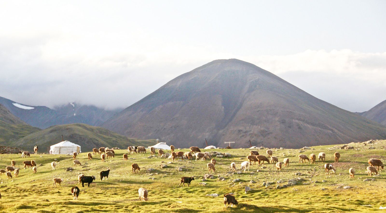Mongólía